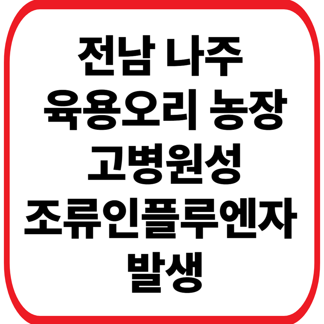 전남 나주 육용오리 농장서 고병원성 조류인플루엔자 발생