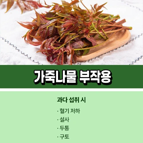 가죽나물 부작용