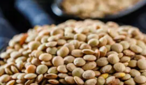 갑상선에 좋은 음식 22