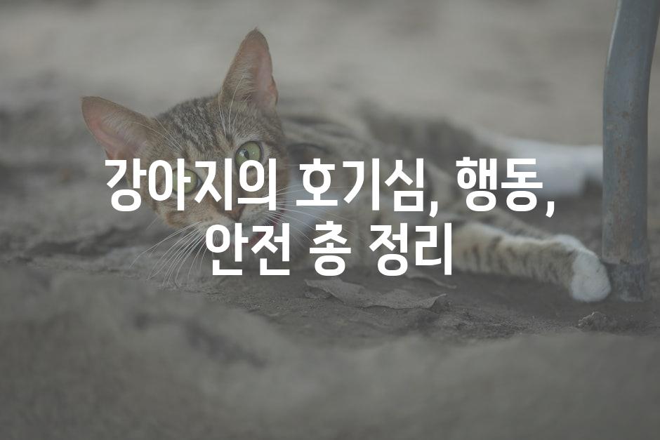 Pet Safety 3