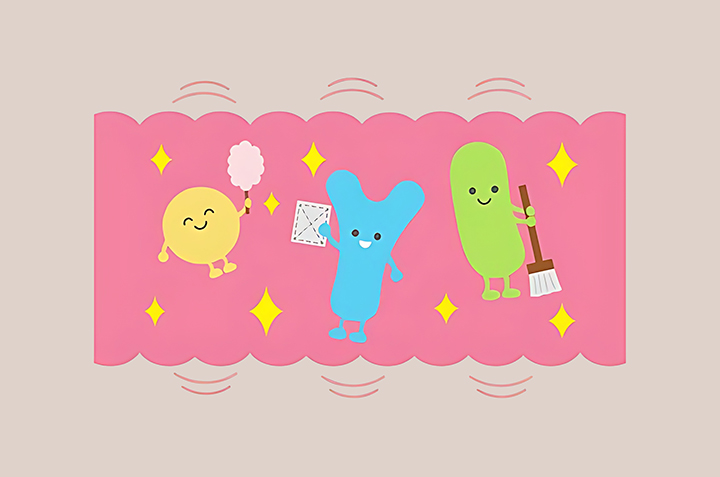 장내-유익균의-횔동-모습