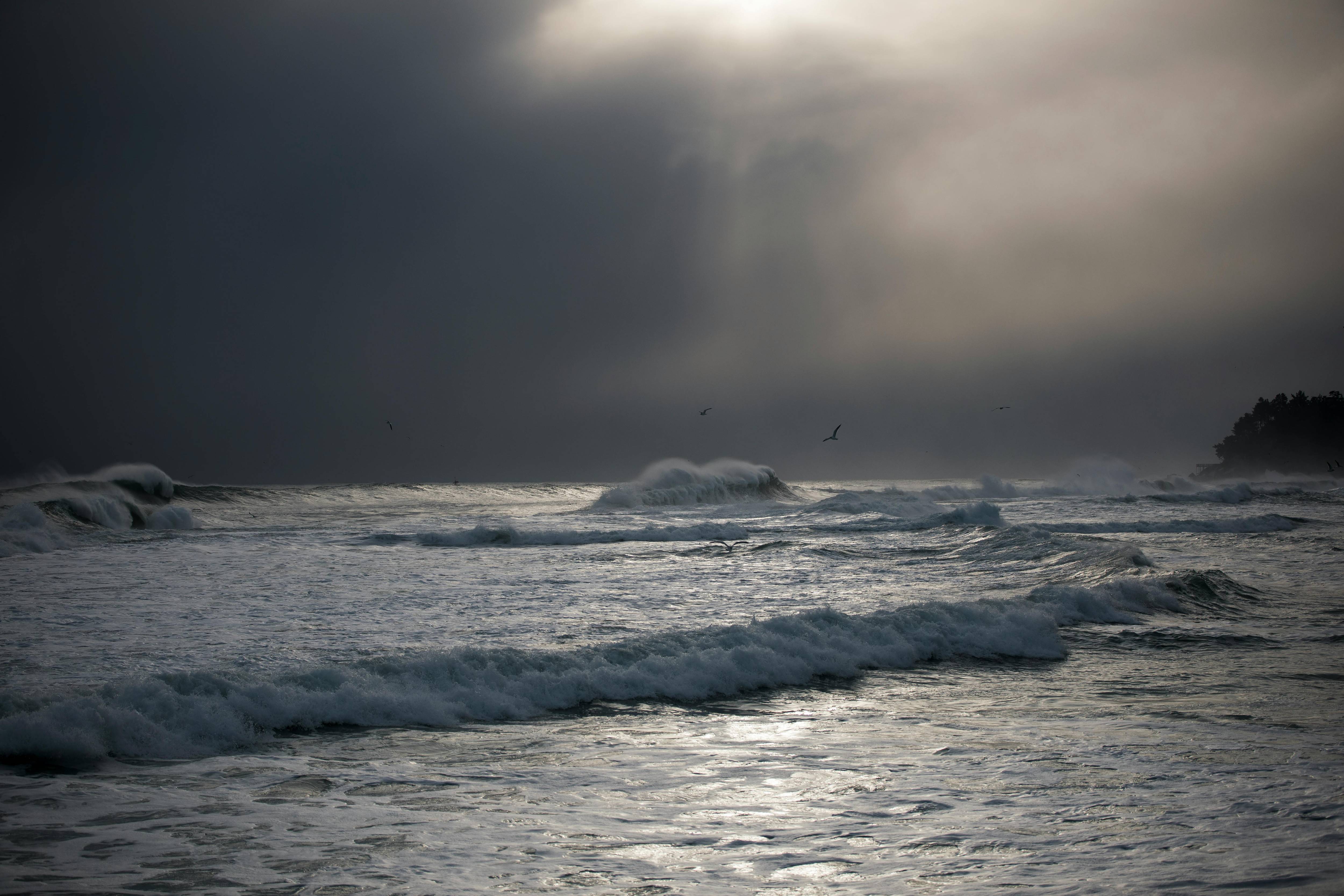 속초시 이미지들