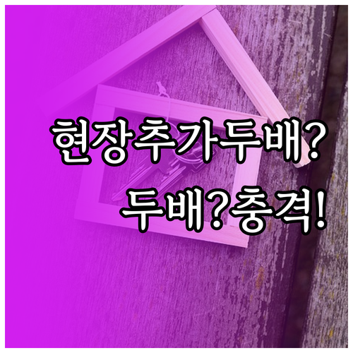 스쿠트 항공 위탁수하물 현장 추가 비..