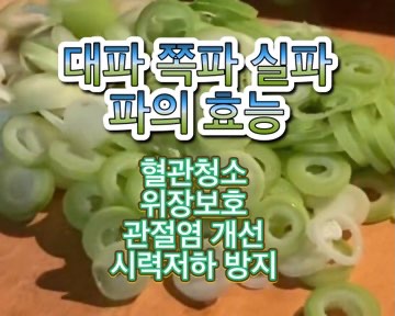 대파-실파-쪽파-효능-혈관건강