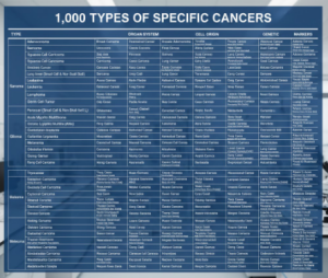 특정암 1,000 종류