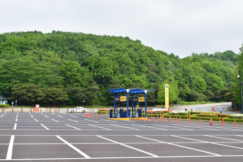 에버랜드 무료주차장과 정문 유료주차장 비교 안내