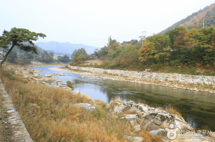 평창 금당계곡