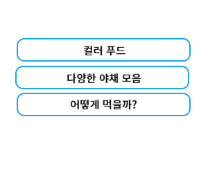 샐러드