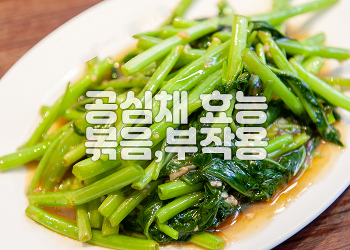 공심채 볶음이 흰접시 위에 놓여져 있다