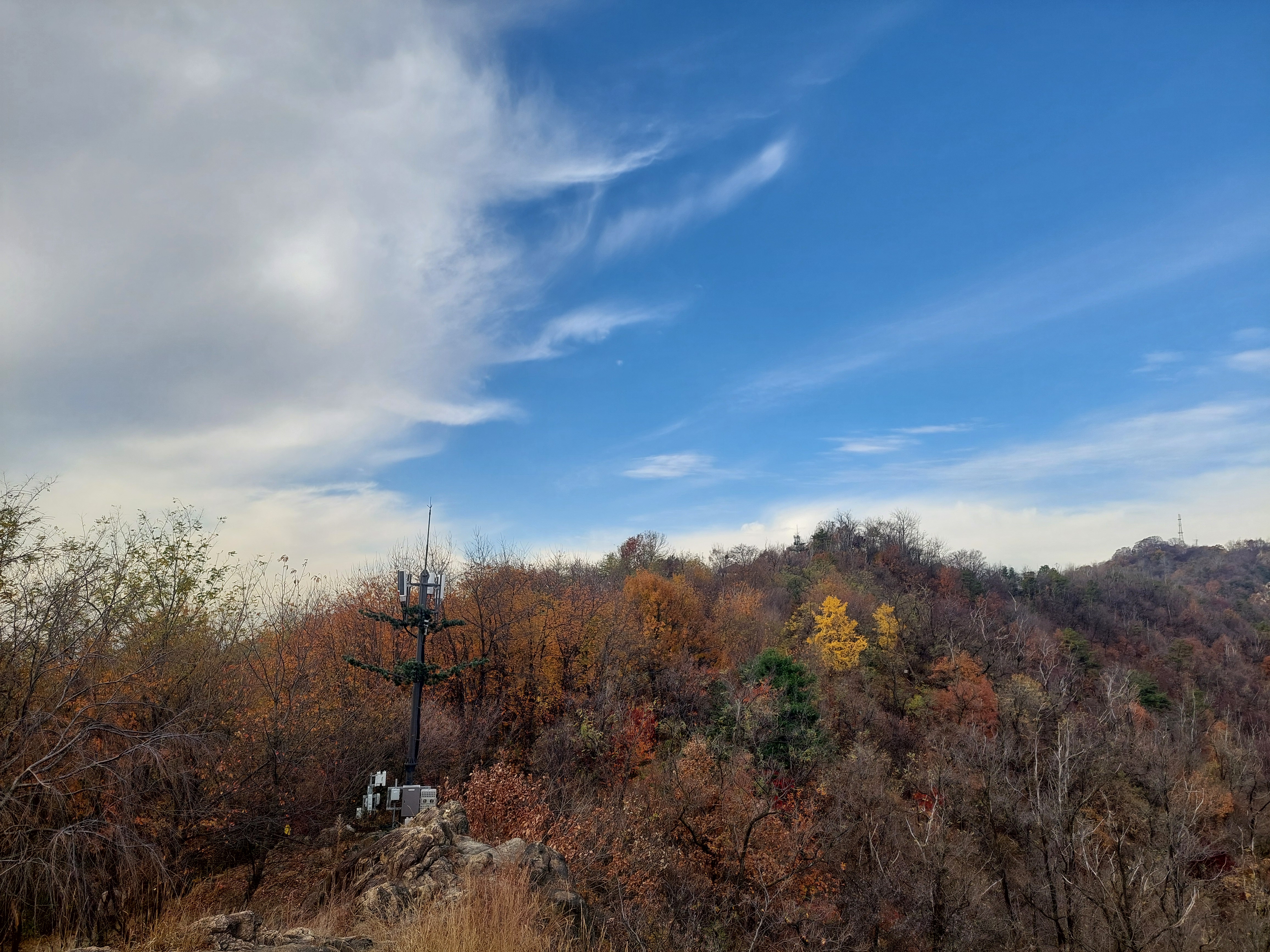 안산