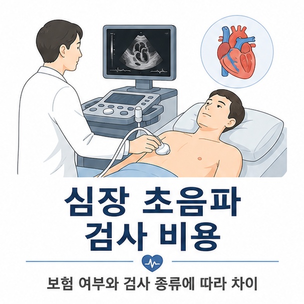 가슴에 초음파 탐촉자를 대고 심장 영상을 확인하는 모습을 통해 심장 초음파 검사 비용은 보험 적용과 검사 종류에 따라 달라짐을 보여 주는 그림