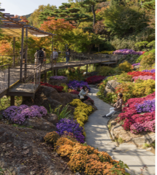 2025 화담숲 단풍축제 예약 완벽 가이드 | 절정시기·꿀팁 총정리