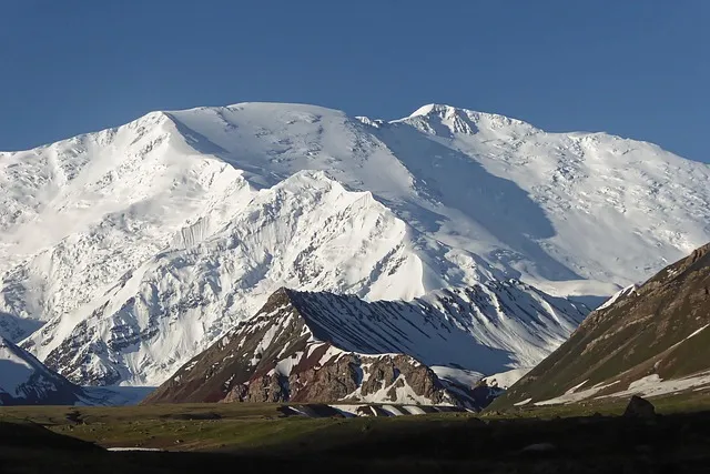 녹용 선물 액기스 캡슐 스틱 체질과 예산에 맞춘 섭취 가이드_7