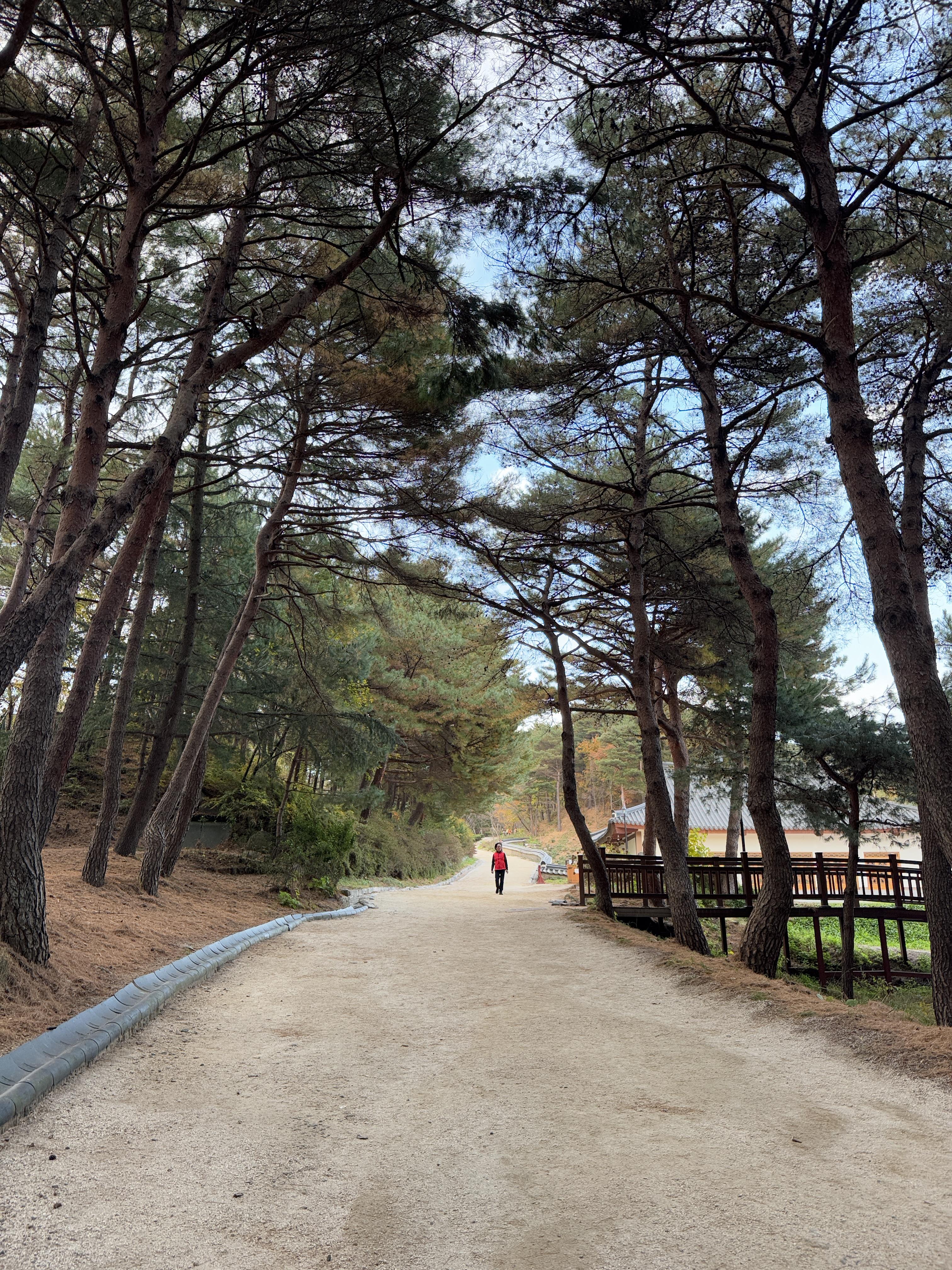 낙산사