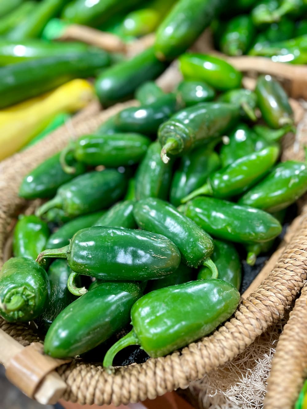 여름철 매운맛을 더하는 고추