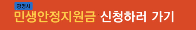 민생안정지원금 지급 확정, 신청 방법 및 주의 사항