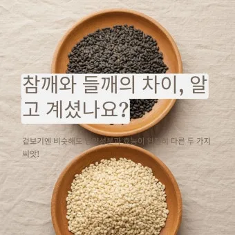 참깨 효능 파종 수확 보관 씻는 법까지 먹는 방법 총정리_21