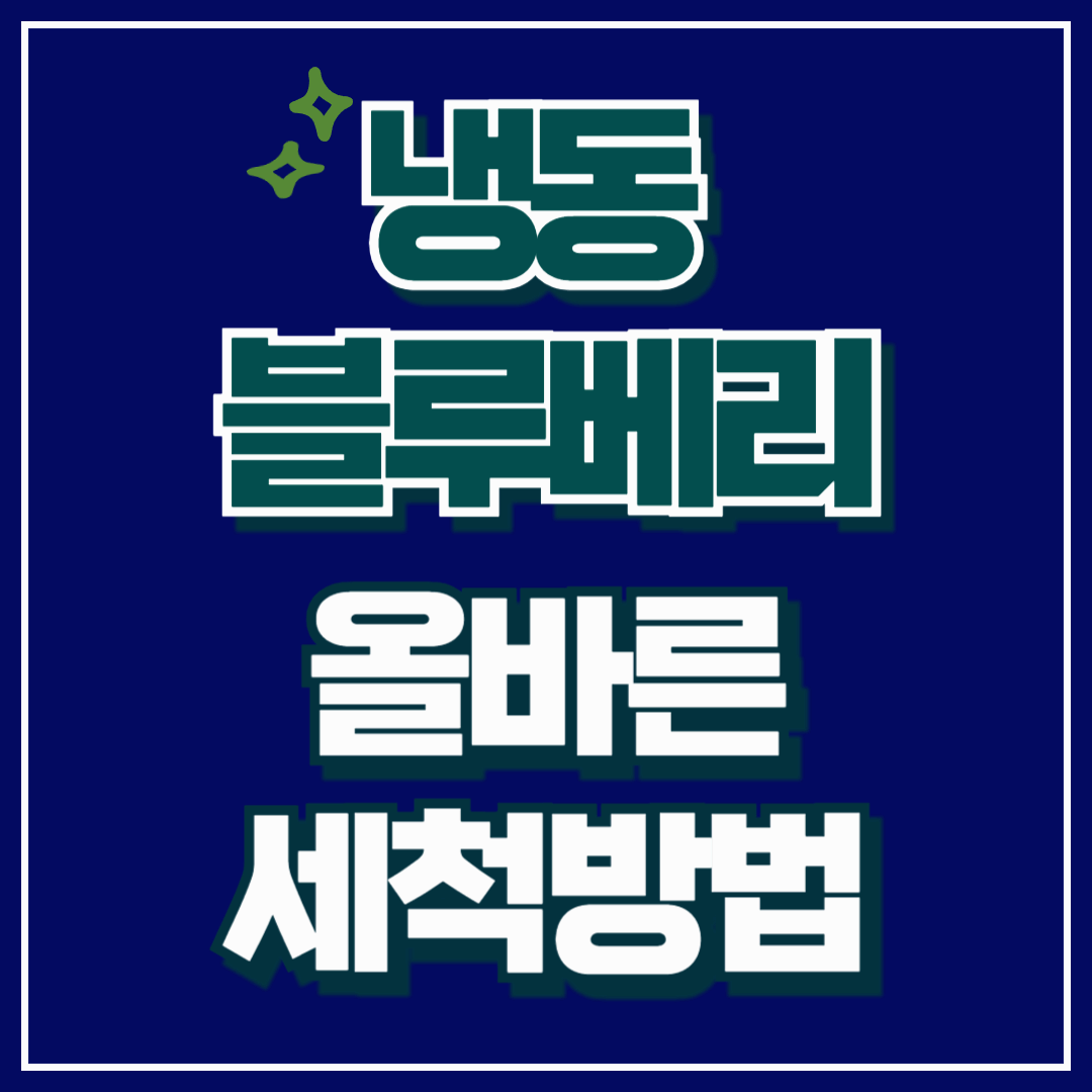 냉동 블루베리 세척 꼭 해야할까? 세척해서 먹어야 하는 이유와 올바른 세척법 알아보자!