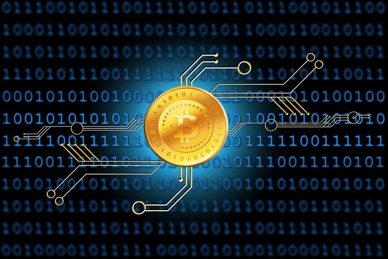 CBDC 자동화 화폐 시대의 금융 문해력