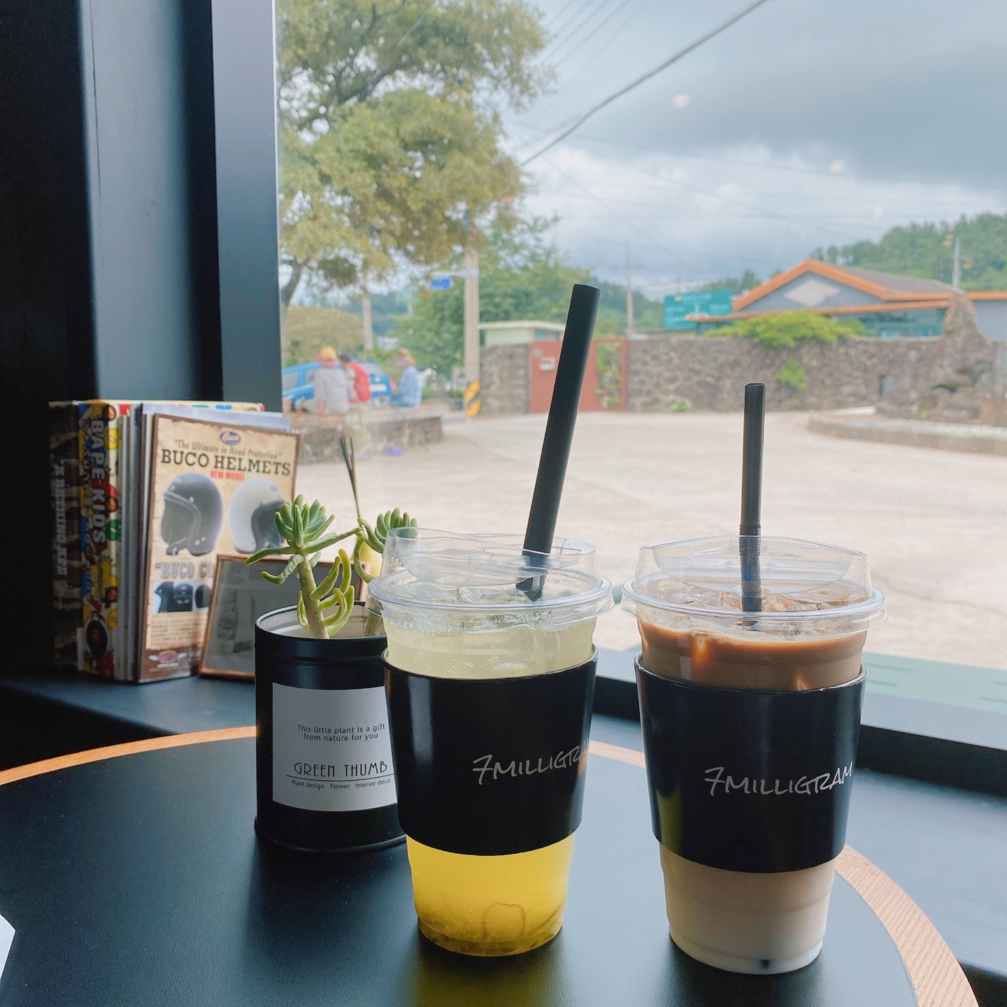 제주 한림 우리들의블루스 7밀리그램