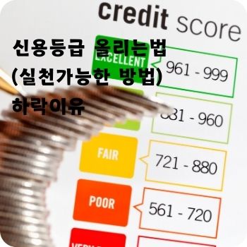 신용등급 올리는법 하락이유
