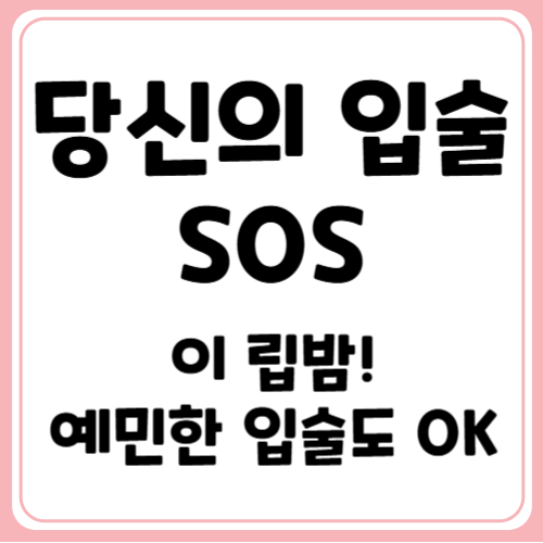 입술도 예민할 수 있다! 민감성 립밤 추천 가이드