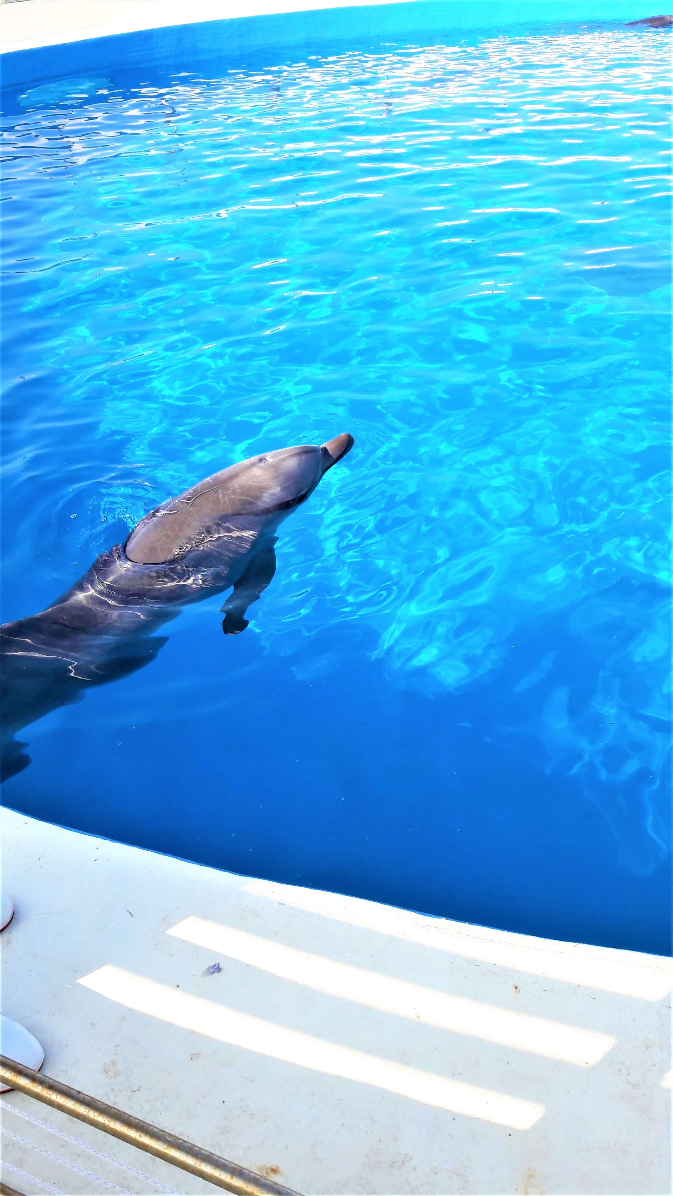 츄라우미 수족관