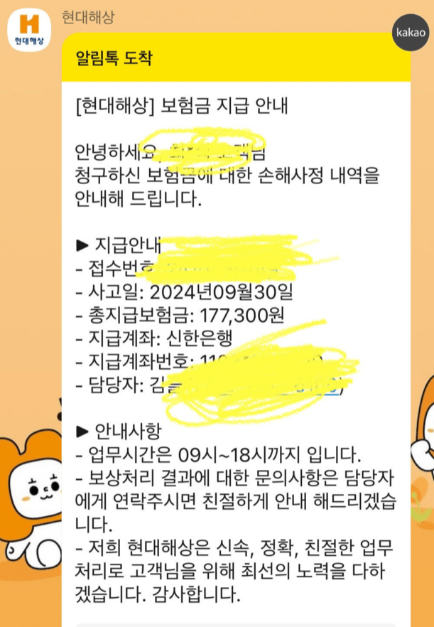 현대해상 펫보험 후기