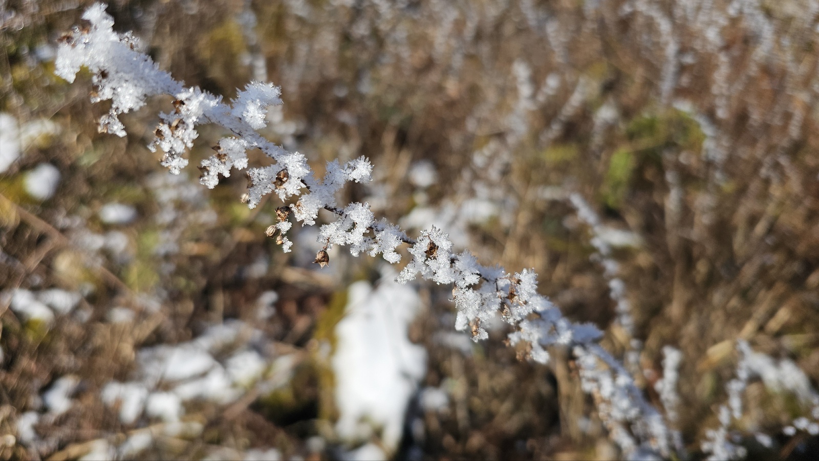 [36개월 아들과 함께 평화봉]