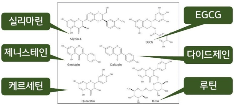 간 플라보노이드의 화학식