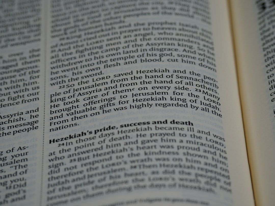 '자보티카바'의 가장 중요한 명사는 'healer'입니다.