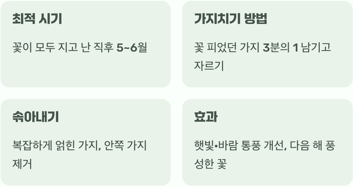 풍성한 꽃을 위한 용감한 가위질, 가지치기
