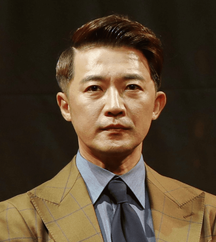 안재욱 드라마 작품 활동