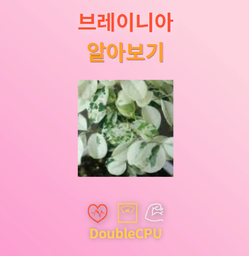 브레이니아 탐구