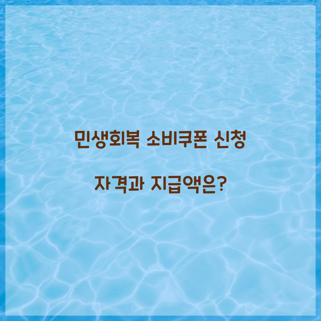 민생회복 소비쿠폰