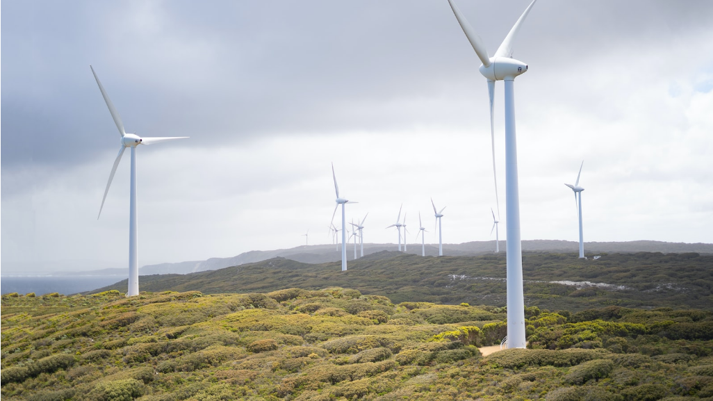 바이오 에너지, 화석 연료에 대한 지속 가능한 대안