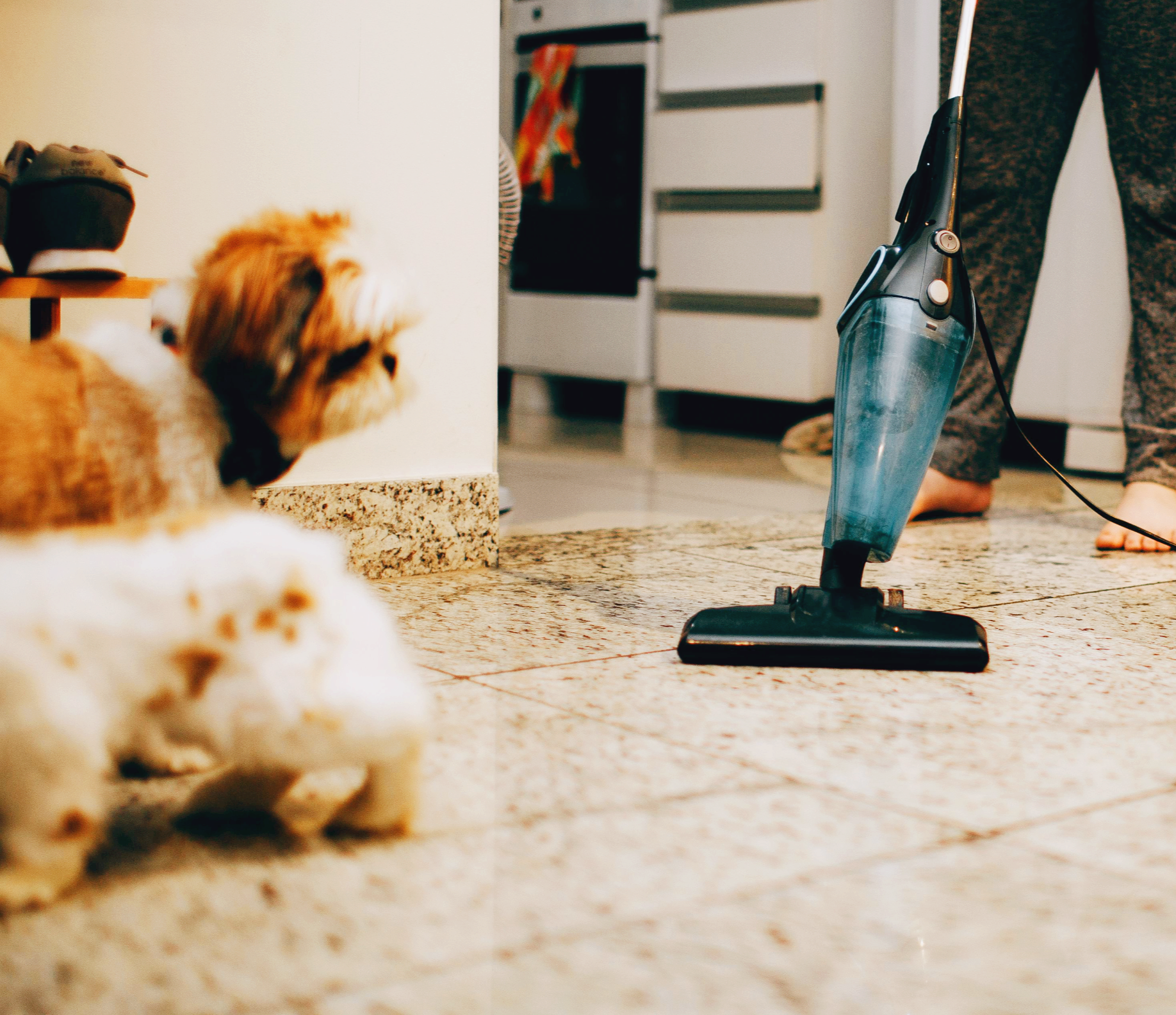 반려동물을 위한 저주파 진동 발생원을 차단하는 집 구조 셋업법