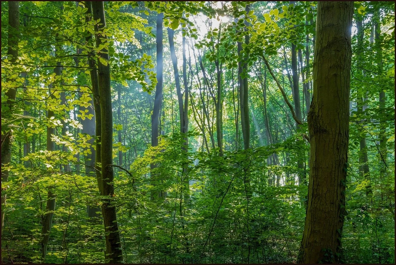 예금이자 가장 높은 은행