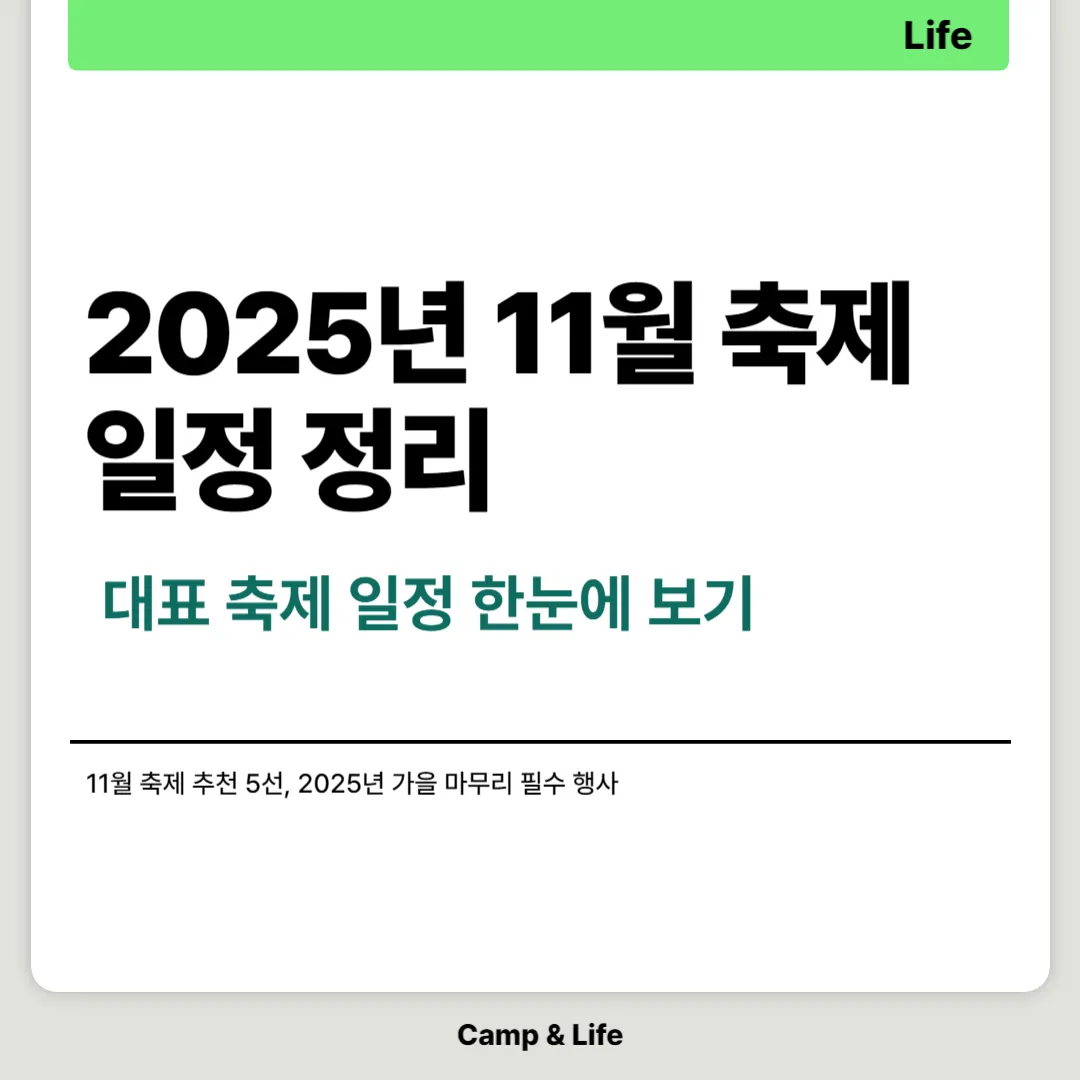 2025년 11월 축제 일정 정리