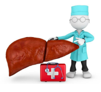 감마지티피-사진4