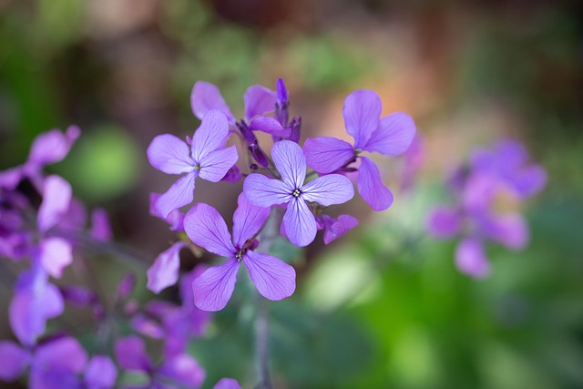청와대 관람 코스 추천 어린이날 특별 프로그램 총정리