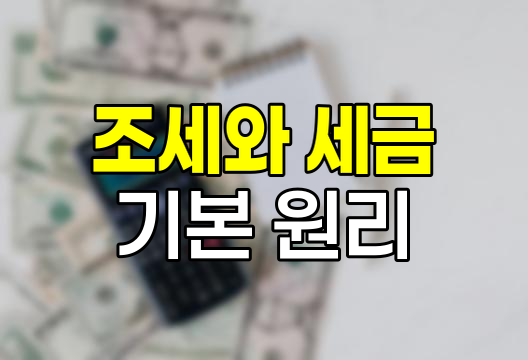 조세와 세금의 기본 원리, 과세요건과 담세력 해설