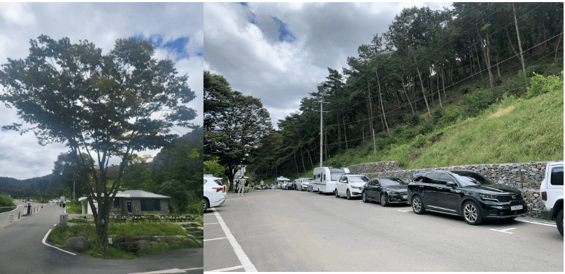 줄서있는차량