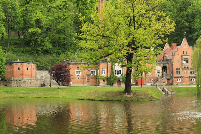 40대 이후, 관절 건강