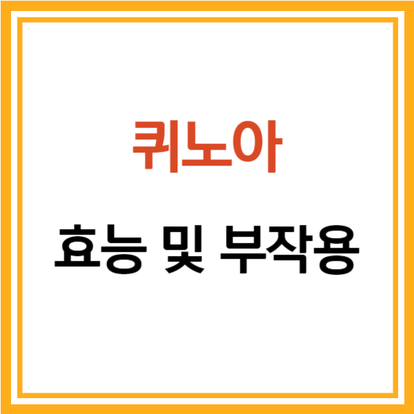 퀴노아 효능 및 부작용 image