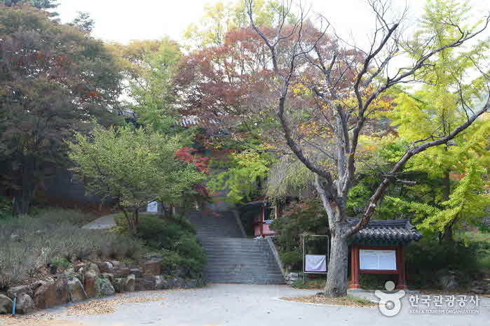 강화도1