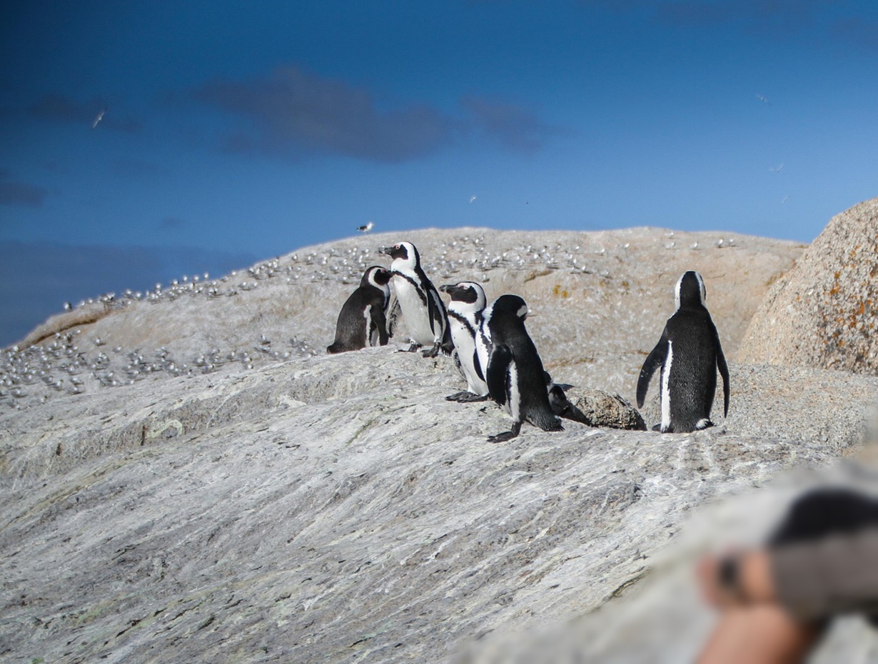 기후 재난이 일상이 된 이유 지금 이 순간에도 진행 중인 5가지 경고 신호