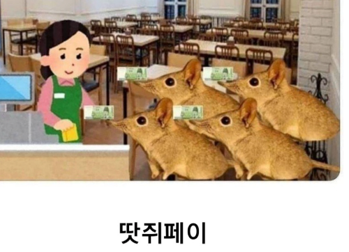 땃쥐 짤