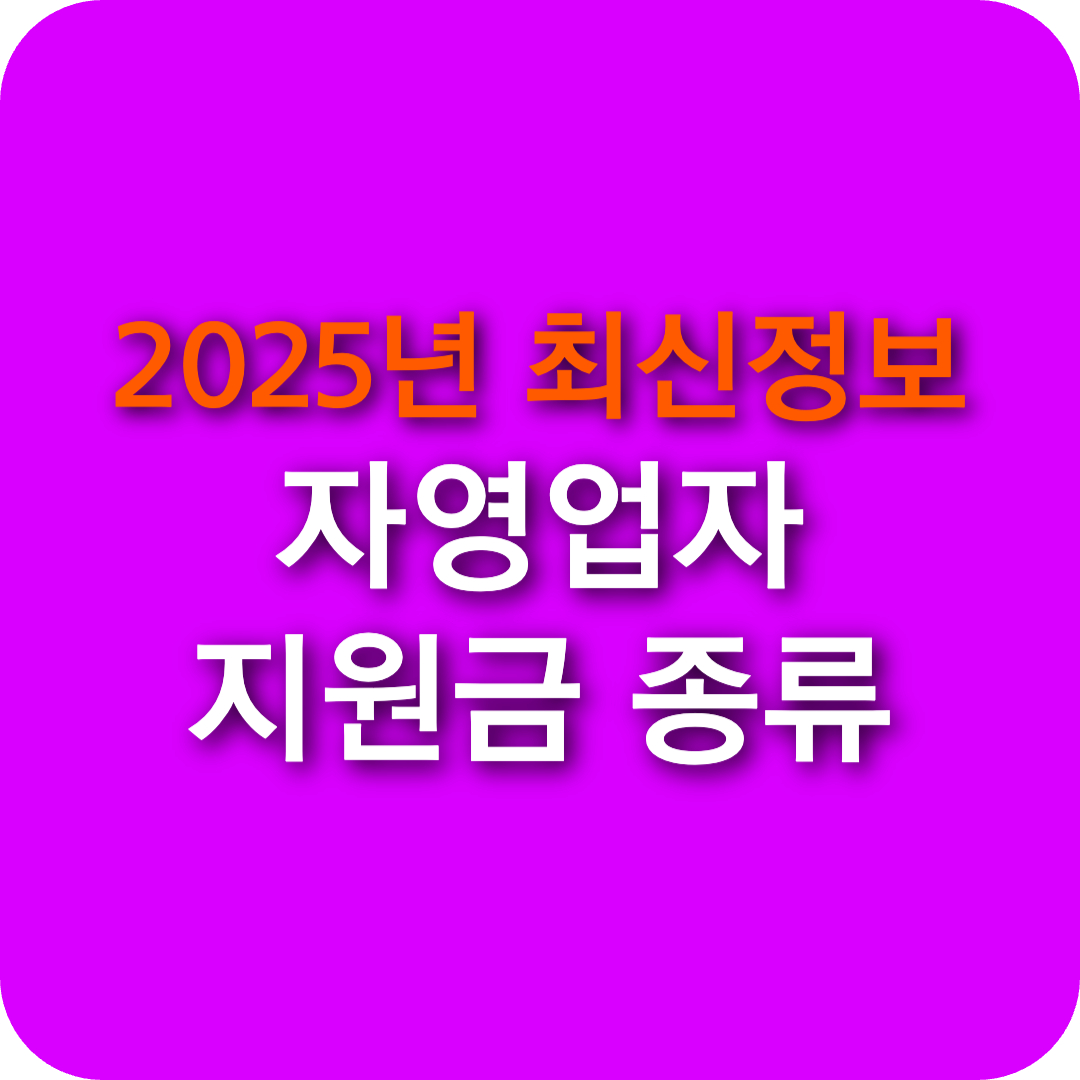 2025년 자영업자 지원금 종류 소상공인 개인사업자 정책자금 온라인 신청 조건 방법 총정리