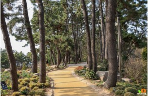 태안 추천 관광지 베스트10 관련 사진